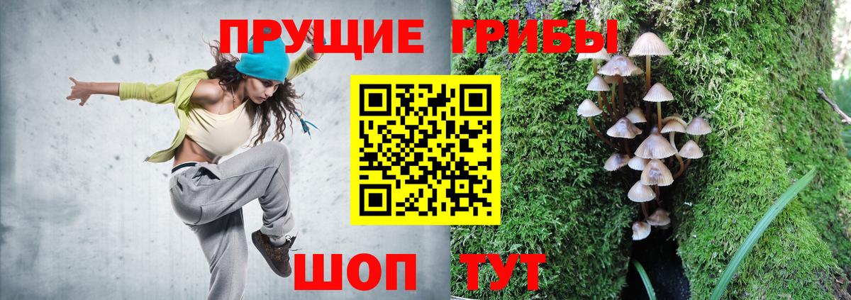 Псилоцибиновые грибы Psilocybe  Вход с VPN  где продают   Галлюциногенные грибы прущие грибы  Азнакаево 